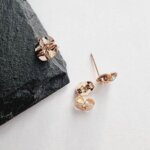 Auskarai 0,9cm.skersmuo