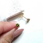 Auskarai 0,5cm.skersmuo